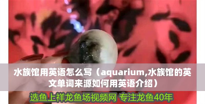 水族館用英語怎么寫（aquarium,水族館的英文單詞來源如何用英語介紹）