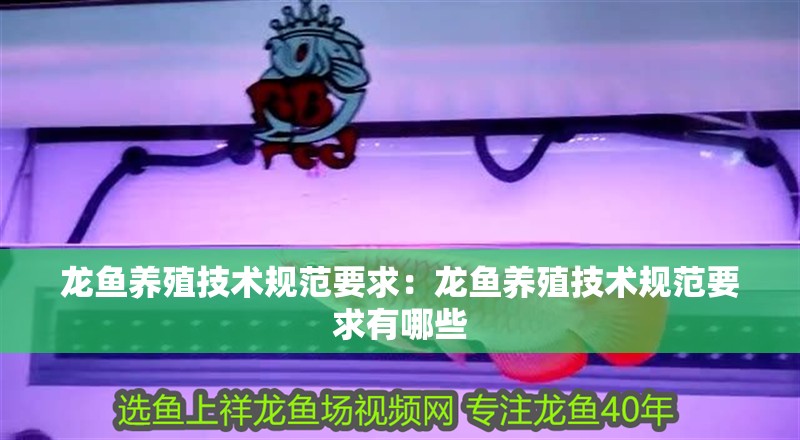 龍魚養殖技術規范要求：龍魚養殖技術規范要求有哪些