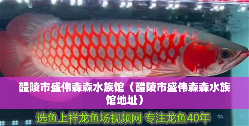 醴陵市盛偉森森水族館（醴陵市盛偉森森水族館地址） 醴陵市盛偉森森水族館（醴陵市盛偉森森水族館地址） 全國水族館企業名錄 第2張