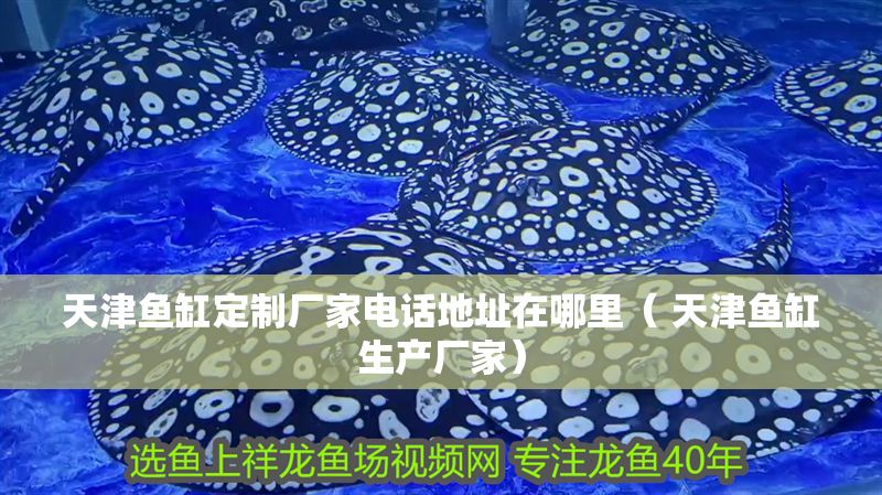 天津魚缸定制廠家電話地址在哪里（ 天津魚缸生產廠家）
