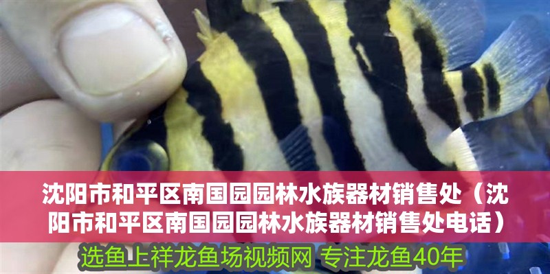 沈陽市和平區南國園園林水族器材銷售處（沈陽市和平區南國園園林水族器材銷售處電話）