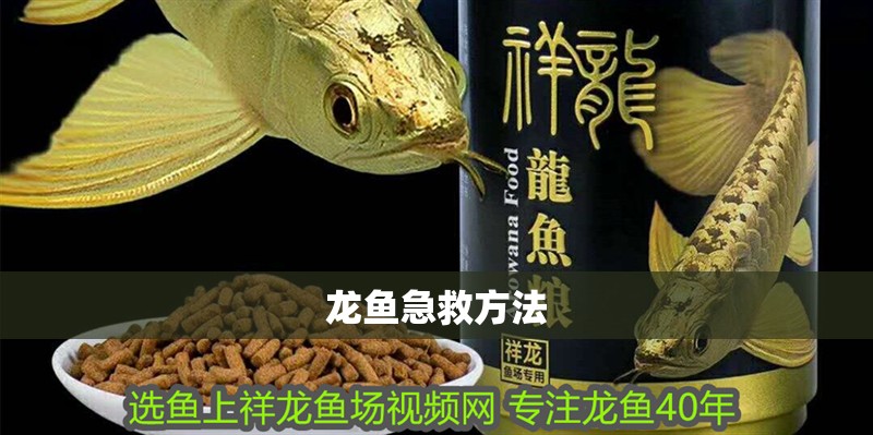 龍魚急救方法