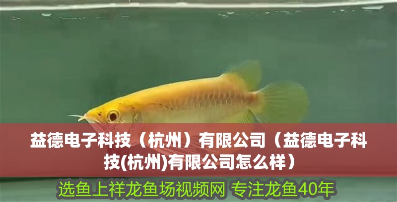 益德電子科技（杭州）有限公司（益德電子科技(杭州)有限公司怎么樣） 益德電子科技（杭州）有限公司（益德電子科技(杭州)有限公司怎么樣） 全國(guó)水族館企業(yè)名錄 第2張