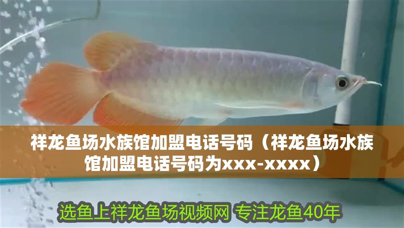 祥龍魚場(chǎng)水族館加盟電話號(hào)碼（祥龍魚場(chǎng)水族館加盟電話號(hào)碼為xxx-xxxx）
