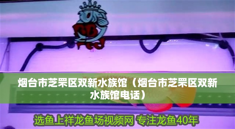 煙臺市芝罘區(qū)雙新水族館（煙臺市芝罘區(qū)雙新水族館電話）