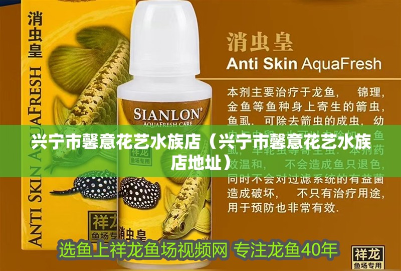 仿生魚缸圖片大全(仿生魚缸圖片大全大圖)