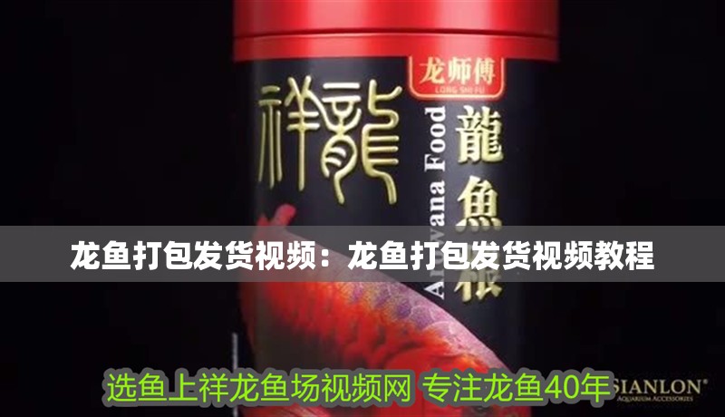 龍魚打包發貨視頻：龍魚打包發貨視頻教程