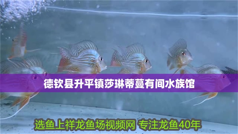 德欽縣升平鎮莎琳蒂蔓有間水族館