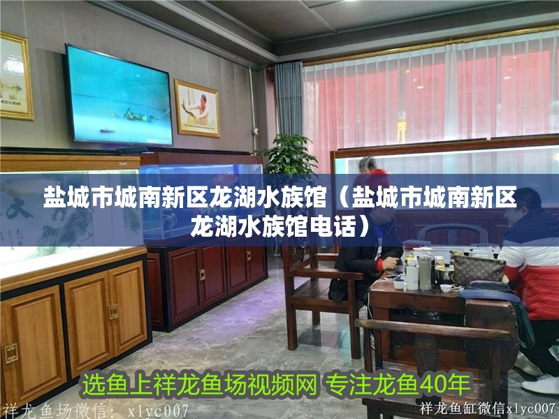 鹽城市城南新區(qū)龍湖水族館（鹽城市城南新區(qū)龍湖水族館電話）