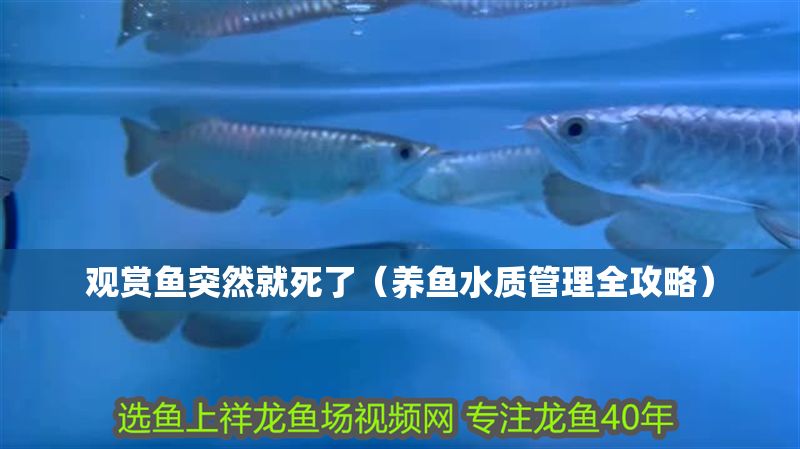 觀賞魚突然就死了（養魚水質管理全攻略） 觀賞魚突然就死了（養魚水質管理全攻略） 豬鼻龜百科 第2張