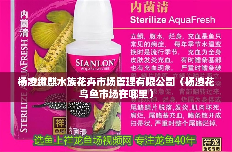 楊凌繳麒水族花卉市場管理有限公司（楊凌花鳥魚市場在哪里）