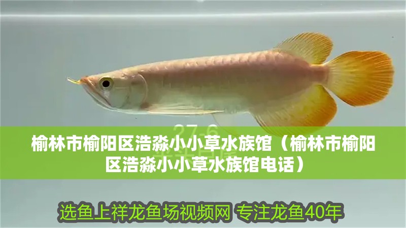 閑事賞賞魚看看書品品茶