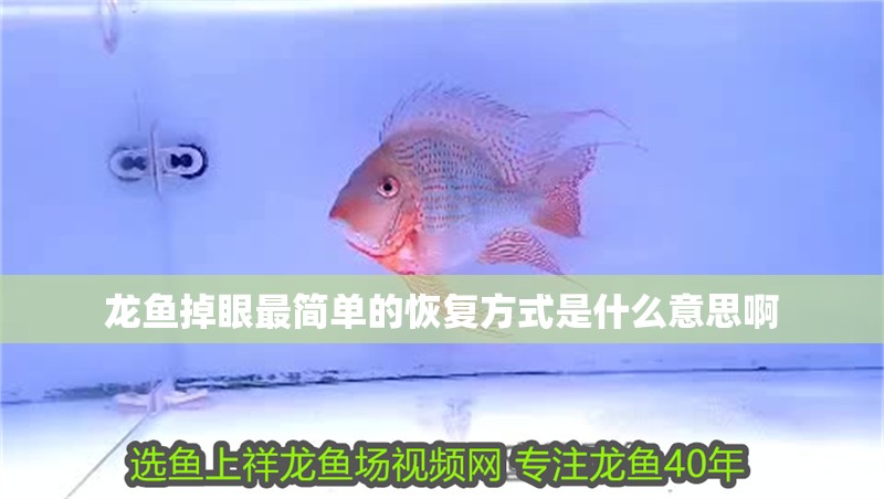 龍魚掉眼最簡單的恢復方式是什么意思啊 龍魚掉眼最簡單的恢復方式是什么意思啊 龍魚百科 第2張
