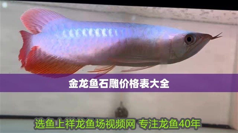 金龍魚石雕價格表大全