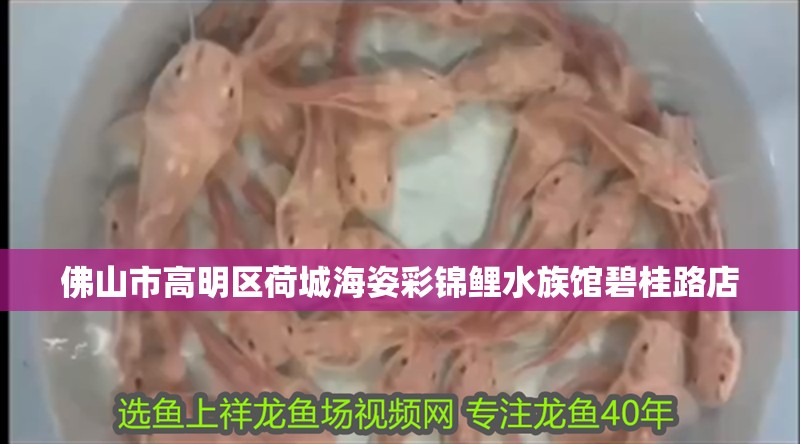 榆林市榆陽區宇濤商貿有限責任公司 榆林市榆陽區宇濤商貿有限責任公司 全國水族館企業名錄 第2張