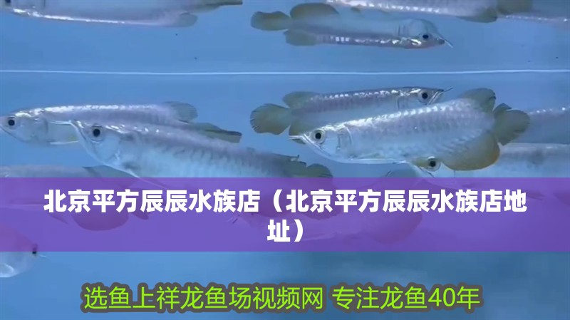 簡筆畫金魚缸和金魚缸怎么畫(簡筆畫金魚缸和金魚缸怎么畫好看)