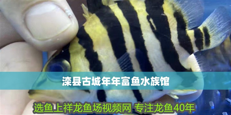 灤縣古城年年富魚水族館 灤縣古城年年富魚水族館 全國水族館企業名錄 第2張