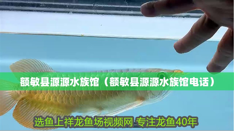 額敏縣源源水族館（額敏縣源源水族館電話）