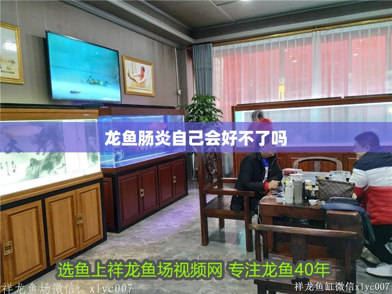 龍魚腸炎自己會好不了嗎