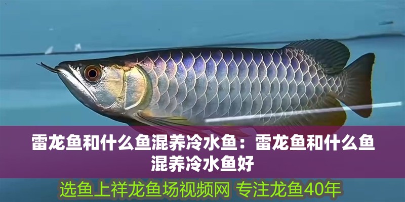 雷龍魚和什么魚混養冷水魚：雷龍魚和什么魚混養冷水魚好