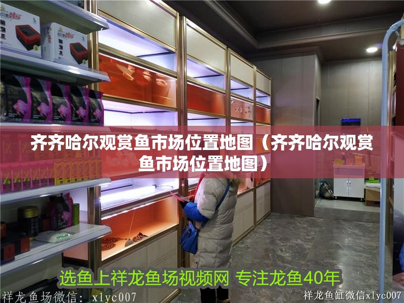 齊齊哈爾觀賞魚市場位置地圖（齊齊哈爾觀賞魚市場位置地圖）