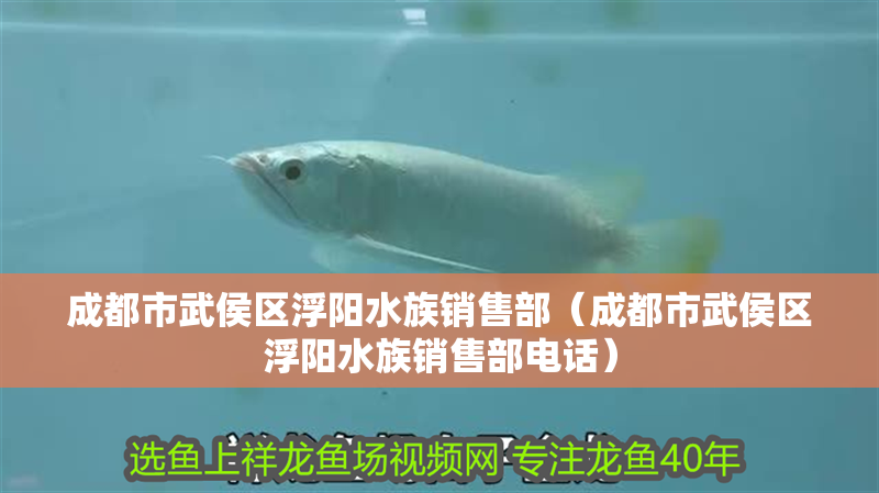 成都市武侯區(qū)浮陽水族銷售部（成都市武侯區(qū)浮陽水族銷售部電話）