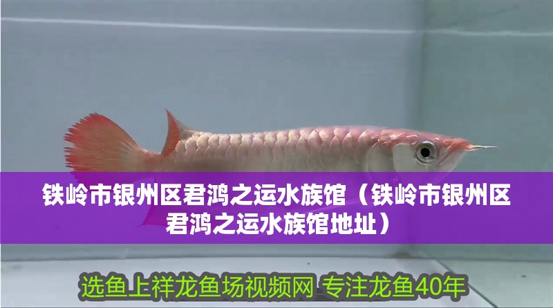 鐵嶺市銀州區君鴻之運水族館（鐵嶺市銀州區君鴻之運水族館地址）