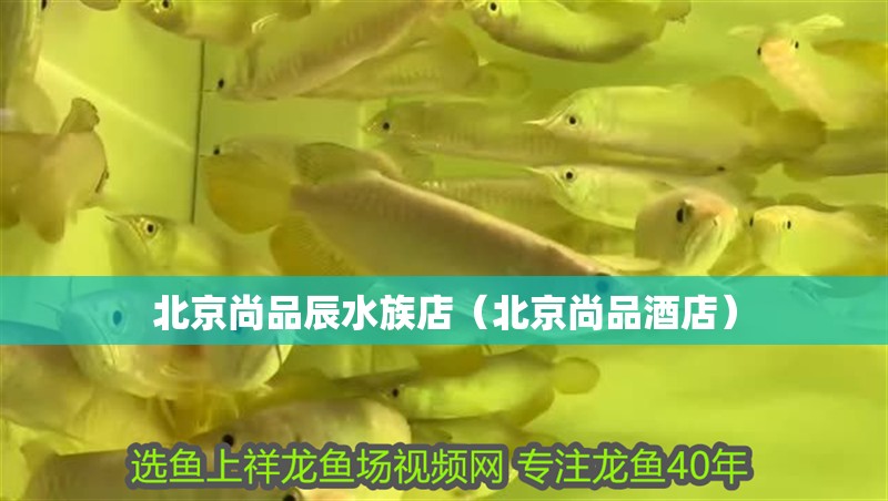 北京尚品辰水族店（北京尚品酒店）