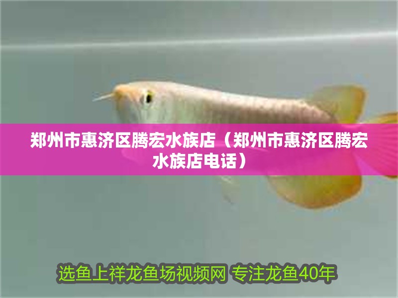 鄭州市惠濟區騰宏水族店（鄭州市惠濟區騰宏水族店電話） 鄭州市惠濟區騰宏水族店（鄭州市惠濟區騰宏水族店電話） 全國水族館企業名錄 第2張