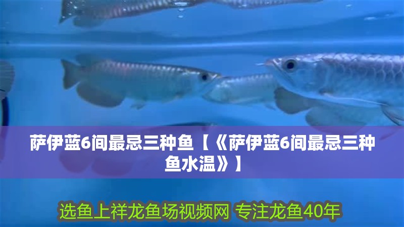 薩伊藍6間最忌三種魚【《薩伊藍6間最忌三種魚水溫》】