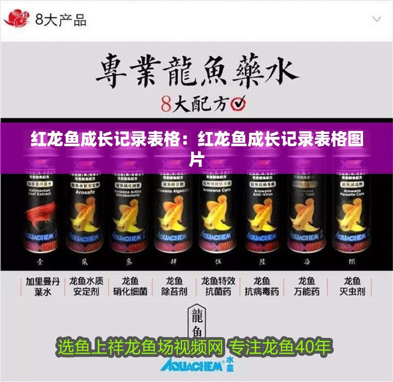 紅龍魚成長記錄表格：紅龍魚成長記錄表格圖片