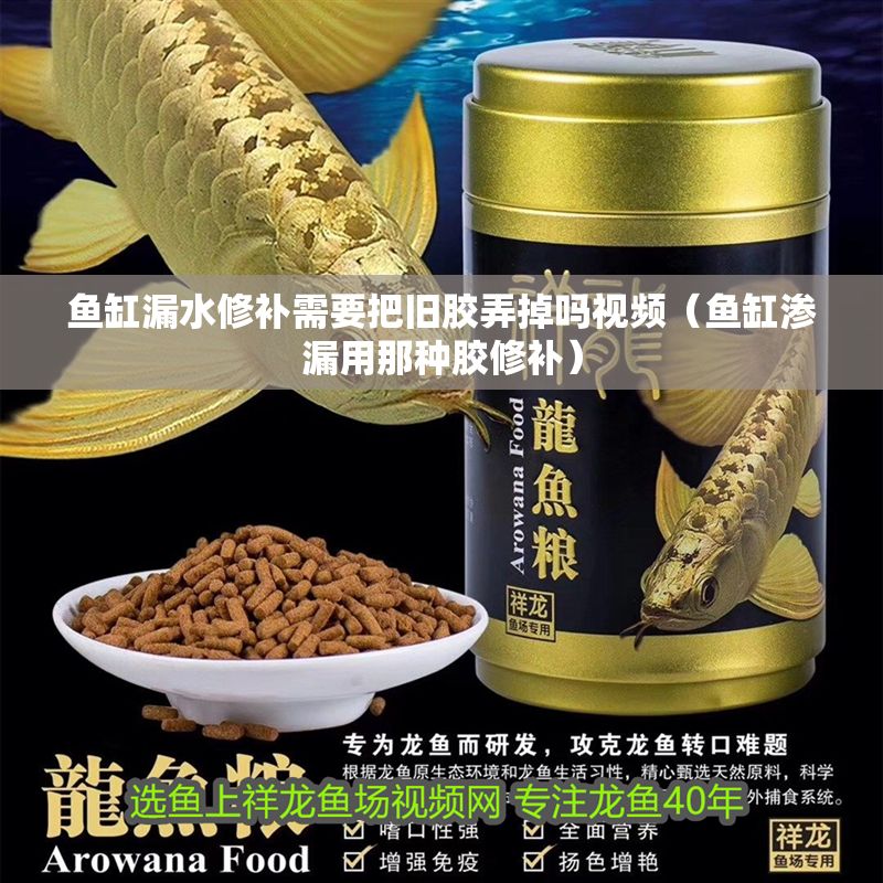 魚缸漏水修補(bǔ)需要把舊膠弄掉嗎視頻（魚缸滲漏用那種膠修補(bǔ)） 魚缸漏水修補(bǔ)需要把舊膠弄掉嗎視頻（魚缸滲漏用那種膠修補(bǔ)） 魚缸百科 第1張