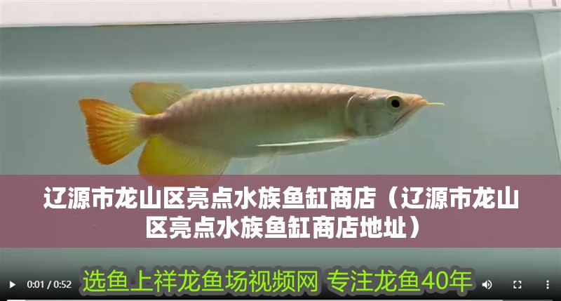 遼源市龍山區亮點水族魚缸商店（遼源市龍山區亮點水族魚缸商店地址）