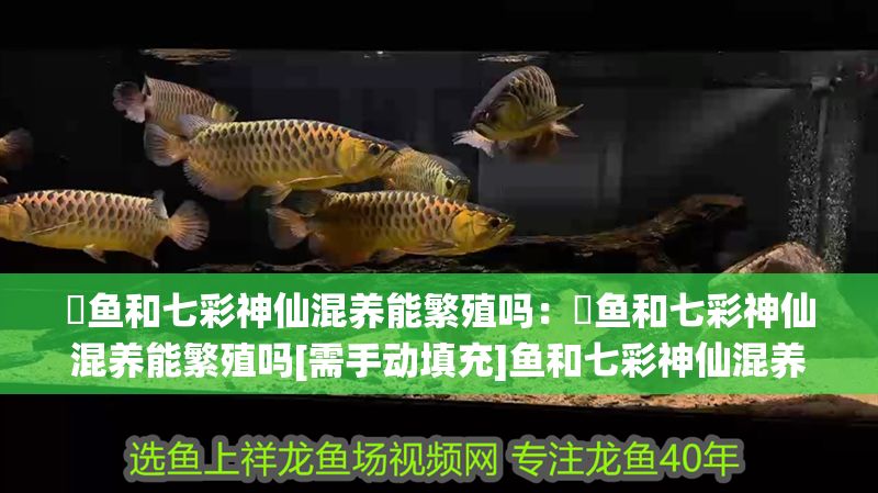 魟魚和七彩神仙混養能繁殖嗎：魟魚和七彩神仙混養能繁殖嗎[需手動填充]魚和七彩神仙混養能繁殖嗎 魟魚和七彩神仙混養能繁殖嗎：魟魚和七彩神仙混養能繁殖嗎[需手動填充]魚和七彩神仙混養能繁殖嗎 魟魚百科 第2張