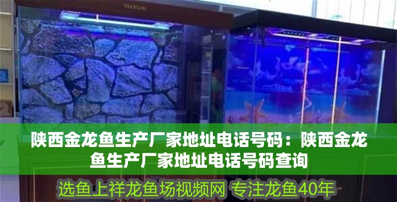 陜西金龍魚生產廠家地址電話號碼:陜西金龍魚生產廠家地址電話號碼查詢 水族問答 陜西金龍魚生產廠家地址電話號碼:陜西金龍魚生產廠家地址電話號碼查詢 陜西金龍魚生產廠家地址電話號碼:陜西金龍魚生產廠家地址電話號碼查詢 水族問答