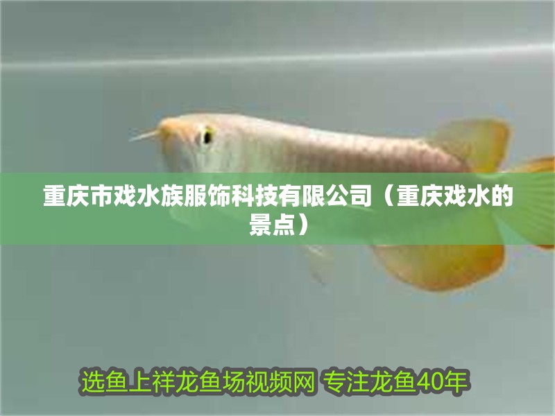 重慶市戲水族服飾科技有限公司（重慶戲水的景點） 重慶市戲水族服飾科技有限公司（重慶戲水的景點） 全國水族館企業(yè)名錄 第2張
