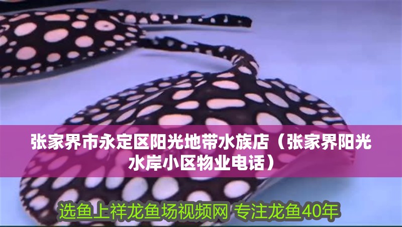 張家界市永定區(qū)陽光地帶水族店（張家界陽光水岸小區(qū)物業(yè)電話）
