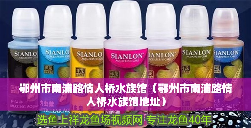 鄂州市南浦路情人橋水族館（鄂州市南浦路情人橋水族館地址）
