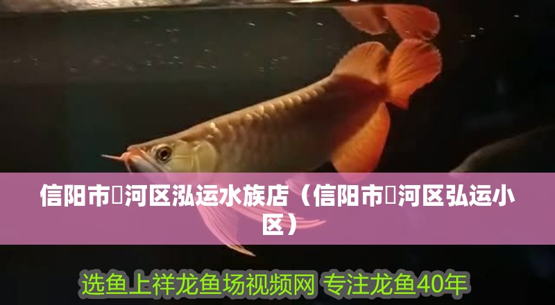 信陽市浉河區泓運水族店（信陽市浉河區弘運小區）