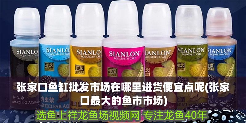 張家口魚缸批發市場在哪里進貨便宜點呢(張家口最大的魚市市場)