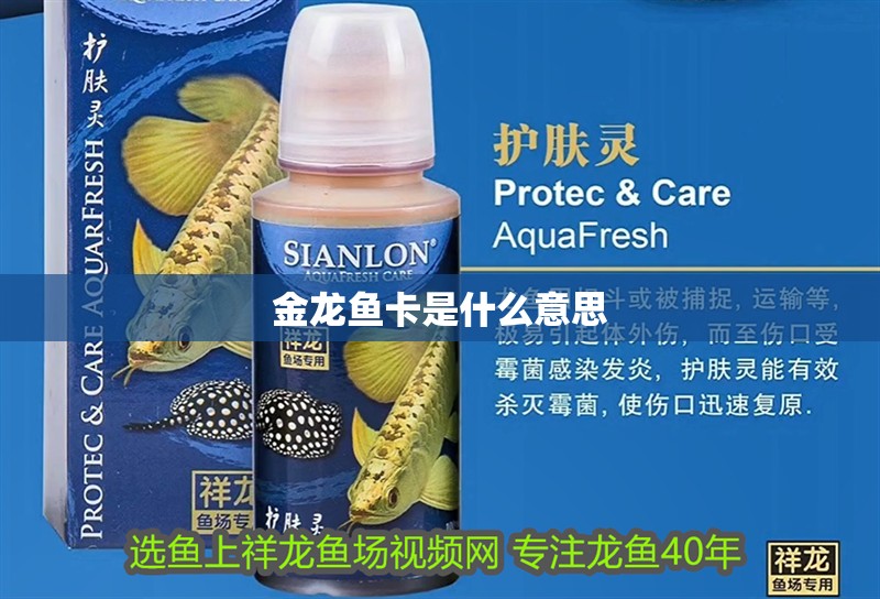 金龍魚卡是什么意思