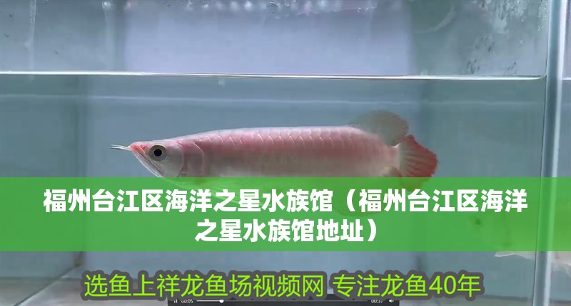 福州臺江區(qū)海洋之星水族館（福州臺江區(qū)海洋之星水族館地址）