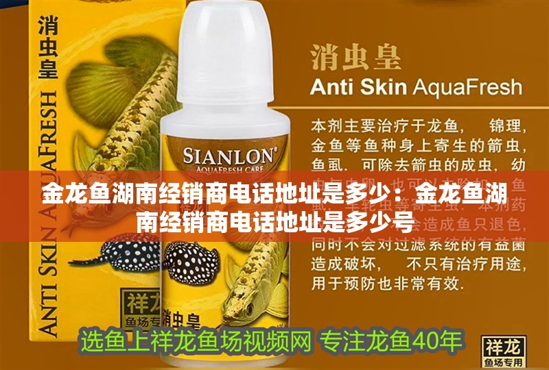 金龍魚湖南經銷商電話地址是多少：金龍魚湖南經銷商電話地址是多少號