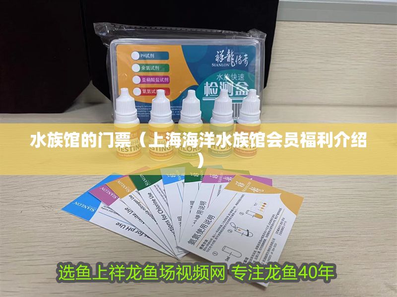 水族館的門票（<strong><mark>上海</mark></strong>海洋水族館會員福利介紹）