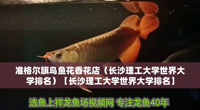 準格爾旗鳥魚花香花店（長沙理工大學(xué)世界大學(xué)排名）【長沙理工大學(xué)世界大學(xué)排名】