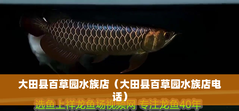 大田縣百草園水族店（大田縣百草園水族店電話） 大田縣百草園水族店（大田縣百草園水族店電話） 全國水族館企業(yè)名錄 第2張