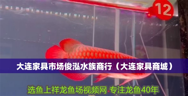 大連家具市場俊泓水族商行（大連家具商城）