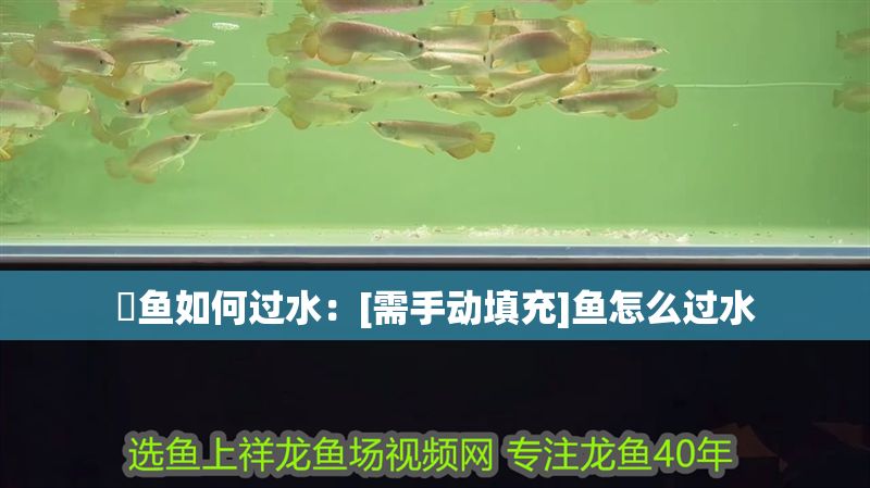 魟魚如何過水：[需手動填充]魚怎么過水
