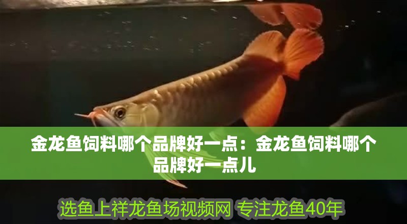 金龍魚飼料哪個品牌好一點：金龍魚飼料哪個品牌好一點兒