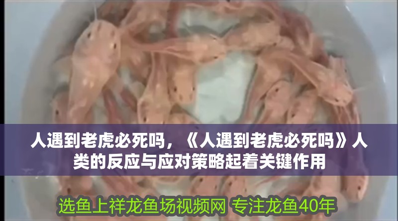 人遇到老虎必死嗎，《人遇到老虎必死嗎》人類的反應與應對策略起著關鍵作用